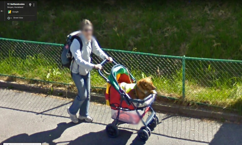 street view